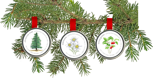 Garden Sprinkle Ornaments | Christmas Wintergreen ornament